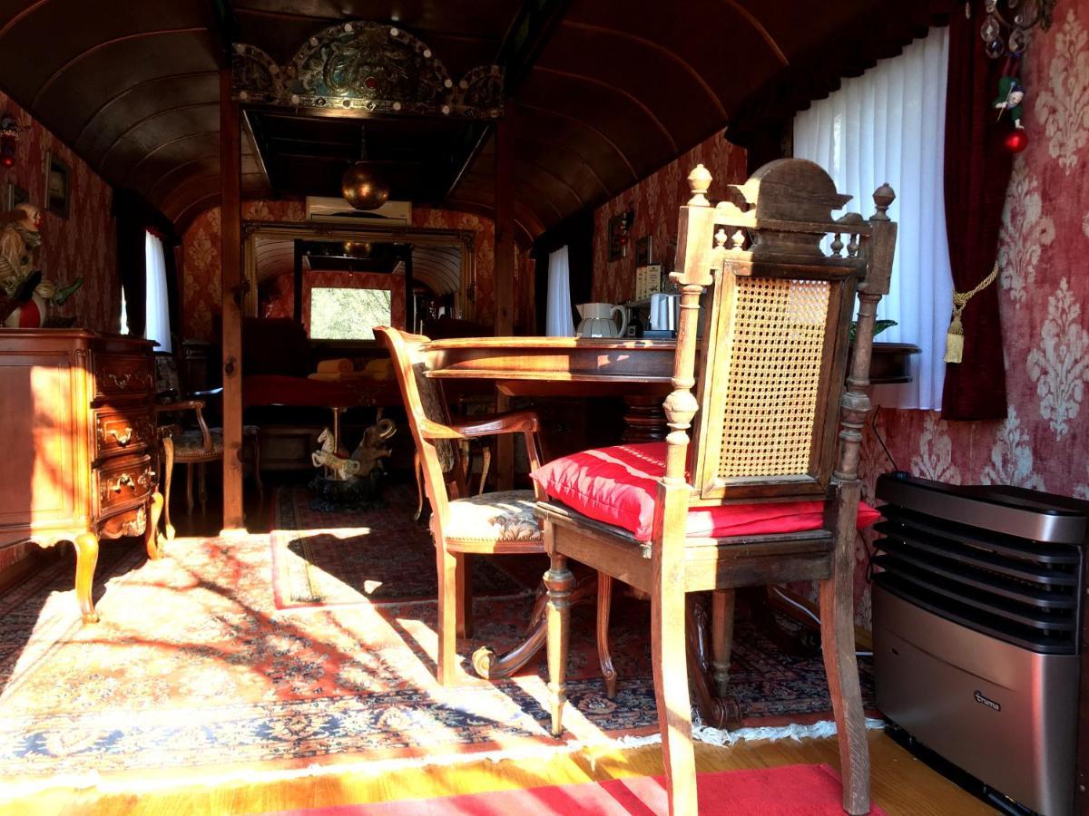 Historischer Zirkuswagen Mit Terrasse Und Blick Ins Gruene فِتْسِنهاوزن المظهر الخارجي الصورة